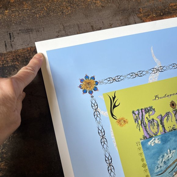 MINT Tori Amos Budapest 2007 by Macrae/Ulysses, S&N and Doodled by Macrae, 21x17 - Picture 2 of 9